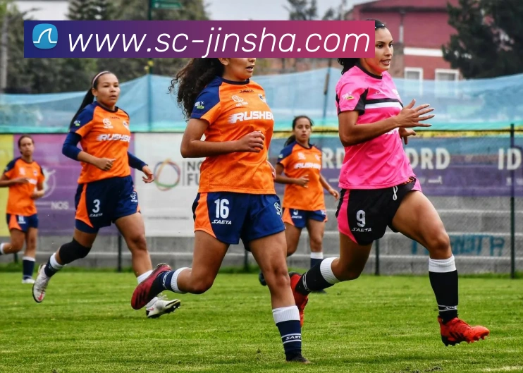 澳门金沙官网APP 封面图